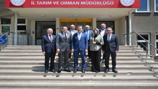 Endüstriyel yemek sektörü, ruhsatsız üretim yapan işletmelerden rahatsız