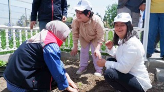 Engelli Hizmetleri Koordinasyon Merkezinde ekim zamanı
