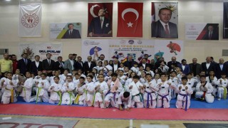 Erva Spor Okulları 2. Valilik Kupası Taekwondo Şampiyonası yapıldı