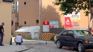 Erzincanda yavru kargayı vatandaşlar kurtardı
