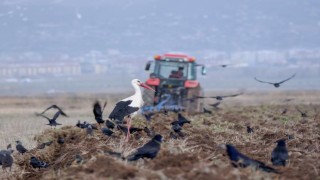 Erzurumda traktör ve motosiklet sayısında artış var