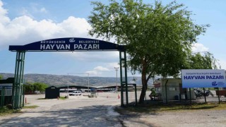 Eskişehir hayvan pazarı Kurban Bayramına hazır