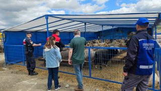 Eskişehir Kurban Satış Hayvan Pazarında denetim ve kontroller