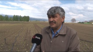Eskişehirde yetersiz yağışlar sebze ve meyve fiyatlarını olumsuz etkiledi