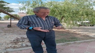Eskişehirde zirai don, buğday ve arpa üretimini vurdu
