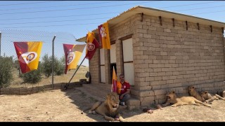 Galatasaraylı taraftar, şampiyonluğu aslanlarıyla kutladı