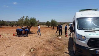 Gaziantepte bir genç zeytin tarlasında ölü bulundu
