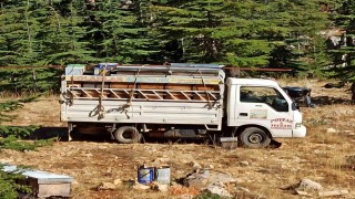 Gazipaşada arıcıların yayla mesaisi başlıyor