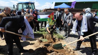 Gazze hatıra ormanında umut yeşerecek
