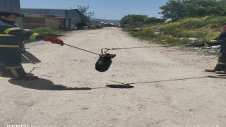 Gedizde baharın gelmesiyle yılanlar görülmeye başladı