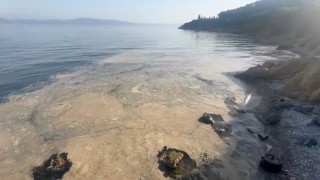 Gemlikte müsilaj paniği