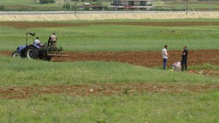 Gercüşte çiftçiler karpuz ve kavun tohumlarını ekmeye başladı