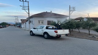 Germencikte gece ilaçlamaları başladı