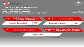 Gıda denetimlerinde 2 milyon 381 bin 979 TL ceza kesildi