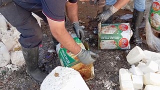Gıda teröristleri tonlarca bozuk peyniri vatandaşa yedirecekti