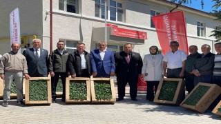 Gölpazarında yerli ve milli fide dağıtım programı gerçekleştirildi