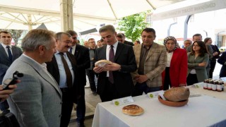 Gümüşhanede Türk Mutfağı Haftasında yöresel lezzetler tanıtıldı