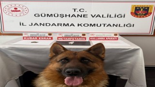 Gümüşhanede uyuşturucu operasyonu
