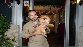 Güzellik yarışmasında birinci seçilen köpek bir hafta sonra ortadan kayboldu