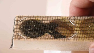 Haciz gelen kurumun başkanından açıklama: Alacağımız-vereceğimiz, ticari bir ilişkimiz yok