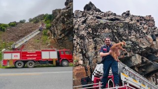 Hakkaride kayalıklarda mahsur kalan keçi yavrusu kurtarıldı