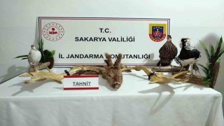 Hayvanat bahçesi gibi ev: Evinden çıkanlar hayrete düşürdü