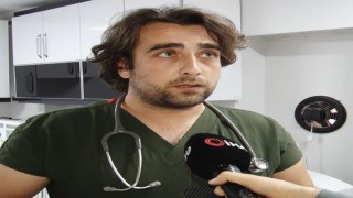 Hayvanları öldürdüğü gerekçesiyle tutuklanan zanlının, yavru köpeği tekmelediği anların görüntüsü ortaya çıktı
