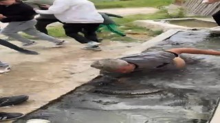 Hıdırellez Bayramına gelmeyen vatandaş ‘su oluğuna atıldı