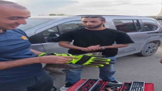 Iğdırda aracın motor kısmında sıkışan yavru kedi kurtarıldı