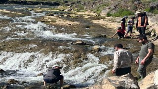 İnci kefalinin göçü yerli ve yabancı turistlerin ilgi odağı oldu