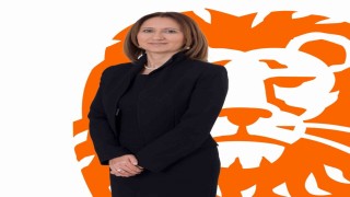 INGnin iklim hedefleri, Bilimsel Tabanlı Hedefler Girişimi tarafından doğrulandı