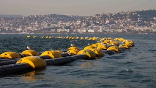 İzmit Körfezinde temizlik çalışmaları sonuç verdi: 2 saatte 100 kiloluk mırmır yakalandı