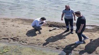 İznik Gölü sahilinde ikinci top mermisi