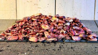 Jandarma 1 ton 700 kilo mühürsüz et ele geçirdi