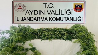 Jandarma ekipleri uyuşturucuya geçit vermedi