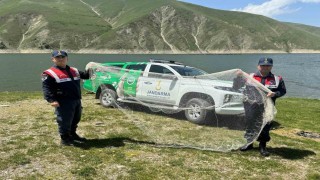 Jandarma kaçak avcıları yakaladı