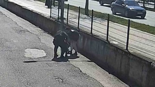 Jandarma personelinin heimlich manevrası, küçük çocuğu kurtardı