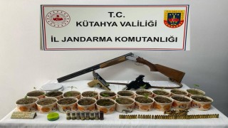 Jandarmadan kenevir operasyonu
