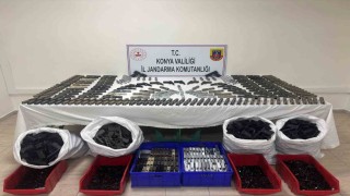 Jandarmadan silah kaçakçılarına operasyon