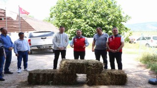 Kadın çiftçilere ‘Saman Balya desteği