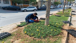 Kağıthanede yeşil alanlarda bakım çalışması yapıldı