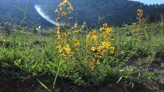 Kahramanmaraş Geben Vadisi Milli Park ilan edildi