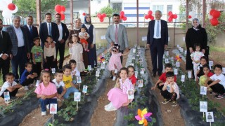 Kahtada miniklerden çilek hasadı
