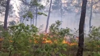 Kaledeki orman yangını rüzgarla birlikte ilerliyor