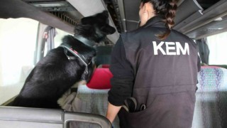 Kapıkulede 77 kilo ecstacy ele geçirildi