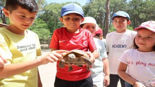 Kaplumbağaları inceleyip hem öğrendiler hem eğlendiler