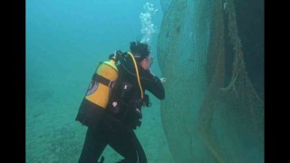 Karaburunda hayalet ağlar toplandı
