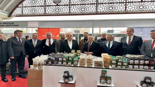 Karadeniz Ordu Tarım, Hayvancılık ve Fındık Fuarı açıldı