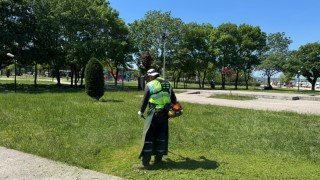 Kartepede yeşil alanlara düzenli bakım