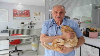 Kedisini veterinere yetiştirmeye çalışırken trafik cezası yedi, itiraz etti